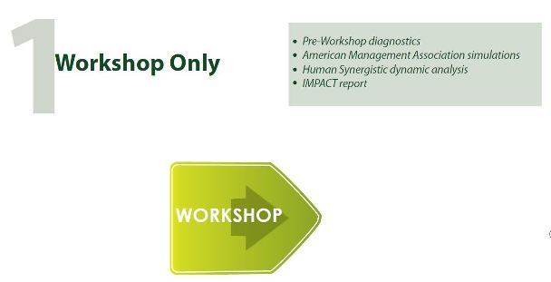 workshop only