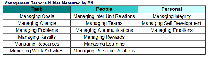 Management Impact Responsibilities Measured