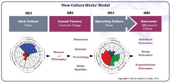 how culture works